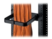 Panduit Vertical D-ring