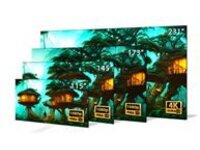 Planar HD 145 - Luminate Ultra W Series LED video wall
