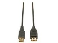 10FT USB AA EXTENSION CABLE GOLD FOR USB 2.0 CABLES