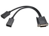 Tripp Lite 1ft DMS-59 to Dual DisplayPort Splitter Y Cable M/Fx2 1'