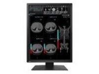 EIZO RadiForce MX217