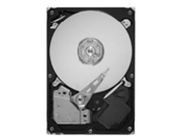 Seagate Desktop HDD ST31000340AS
