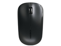 CHERRY MW 2200 - Mouse