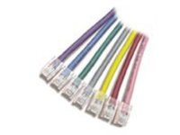 APC - Patch cable - RJ-45 (M) to RJ-45 (M)