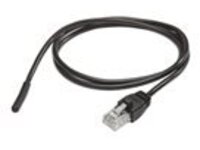 NetBotz - Rack temperature sensor