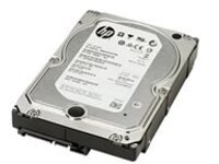 HP - Hard drive - Enterprise