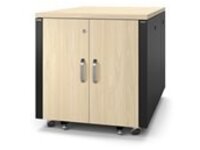 APC NetShelter - Rack (vertical)