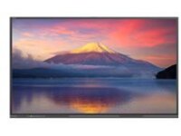 Newline TT-6523C - 65" Diagonal Class C Series LED-backlit LCD display