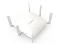 Fortinet FortiAP 243K