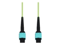 AddOn - Patch cable - MPO/UPC multi-mode (F) to MPO/UPC multi-mode (F)