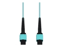 AddOn - Patch cable - MPO/UPC multi-mode (F) to MPO/UPC multi-mode (F)