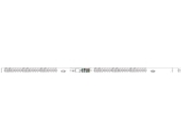 Raritan PX3-5903U - Power distribution unit (rack-mountable)