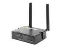 Perle IRG5410&#x2B; - Wireless router