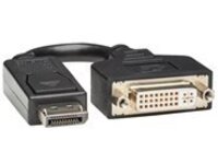 Tripp Lite 6in Displayport to DVI Adapter Video Converter DP-M to DVI-I-F 6"