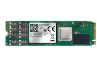 Swissbit N-30m2 - SSD