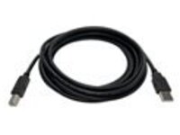 Black Box - USB cable