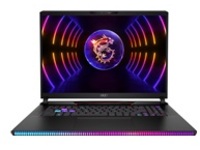 MSI Raider GE78HX 13VG-087US