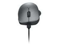 Lenovo Professional - Mouse
