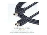 StarTech.com 6 ft Mini DisplayPort 1.2 Cable M/M