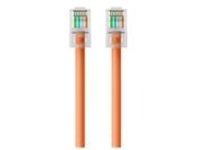 Belkin - Patch cable