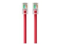 Belkin - Patch cable