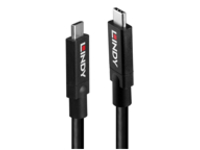 Lindy - USB cable - 9 pin USB 3.1 Gen 2 Type C (M) to 9 pin USB 3.1 Gen 2 Type C (M)