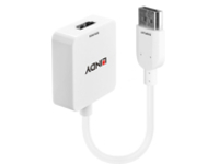 Lindy - External video adapter
