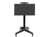 Ergotron Neo-Flex Mobile MediaCenter VHD