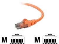Belkin High Performance