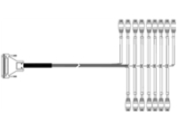 AudioCodes - Trunk cable