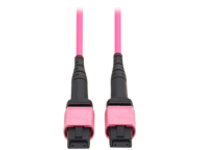 Eaton Tripp Lite Series 100G Multimode 50/125 OM4 Fiber Optic Cable (12F MTP/MPO-PC F/F), OFNP, Magenta, 3 m (9.8 ft.), TAA