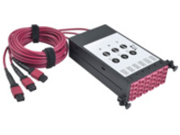 Tripp Lite OM4 Fiber Breakout Cassette w/Built-In MTP Cables, 40 GB to 10 GB, (x3) 8-Fiber OM4 MTP/MPO to (x12) LC Duplex