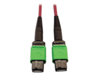 Eaton Tripp Lite Series 400G Multimode 50/125 OM4 Plenum-Rated Fiber Optic Cable, 16F MTP/MPO-APC (F/F), Magenta, 3 m