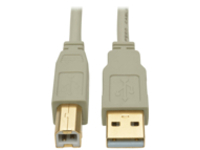 Tripp Lite 6ft USB 2.0 Hi-Speed A/B Cable M/M 28/24 AWG 480 Mbps Beige 6'