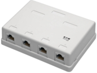 Eaton Tripp Lite Series Pre-Configured Unshielded Cat6 4-Port Surface-Mount Box, 110 IDC, RJ45, White