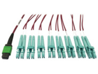 Tripp Lite 400G MTP/MPO Multimode OM4 Plenum-Rated Fiber Breakout Cable, 16F MTP/MPO-APC to (x8) LC Duplex-UPC, Magenta, 3M