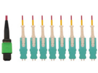 Eaton Tripp Lite Series 40/100/400G Multimode 50/125 OM4 Breakout Fiber Optic Cable (16F MTP/MPO-APC to 8x Duplex SN-PC F/M), LSZH, Magenta, 2 m (6.6 ft.)