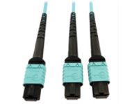 Eaton Tripp Lite Series 400G Multimode 50/125 OM4 Plenum Fiber Optic Cable, 24F MTP/MPO-PC to (x2) 12F MTP/MPO-PC (F/F), Aqua, 5 m