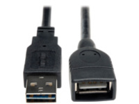 Tripp Lite 6in USB 2.0 High Speed Extension Cable Reversible A to A M/F 6"
