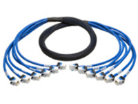 Tripp Lite Augmented Cat6/Cat6a Pre-Terminated Copper Trunk Bundle 6xRJ45 F/F 6'