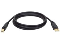 Tripp Lite 6ft USB Cable Hi-Speed Gold Shielded USB 2.0 A/B Male / Male 6&#x27;