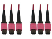 Eaton Tripp Lite Series 40/100/400G Multimode 50/125 OM4 Fiber Optic Cable (3x8F MTP/MPO-PC F/F), LSZH, Magenta, 30 m (98.4 ft.)