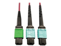 Eaton Tripp Lite Series 400G Multimode 50/125 OM4 Plenum Fiber Optic Cable, 16F MTP/MPO-APC to (x2) 12F MTP/MPO-UPC (F/F), Magenta, 1 m