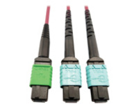 Eaton Tripp Lite Series 400G Multimode 50/125 OM4 Plenum Fiber Optic Cable, 16F MTP/MPO-APC to (x2) 12F MTP/MPO-UPC (F/F), Magenta, 5 m