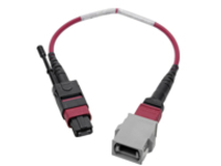 Tripp Lite MTP/MPO Parallel Optics Base-8 Migration Fiber Adapter, Polarity A to B, 12 Fiber, 40 GbE, OM4 M/F, Magenta, 8 in.