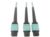 Eaton Tripp Lite Series 400G Multimode 50/125 OM4 Plenum Fiber Optic Cable, 24F MTP/MPO-PC to (x2) 12F MTP/MPO-PC (F/F), Aqua, 3 m