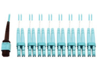 Tripp Lite 400G MTP/MPO Multimode OM4 Plenum-Rated Fiber Breakout Cable, 24F MTP/MPO-PC to (x8) LC Duplex-PC, Aqua, 3M