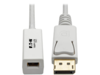 Tripp Lite 6in DisplayPort to Mini DisplayPort Adapter Cable 4k x 2k @ 60Hz M/F 6"