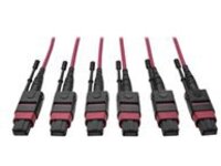 Tripp Lite 24-Fiber MTP MPO OM4 Base-8 MMF Trunk Cable 40/100GbE 3X, 61M