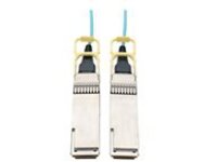 Eaton Tripp Lite Series QSFP28 to QSFP28 Active Optical Cable